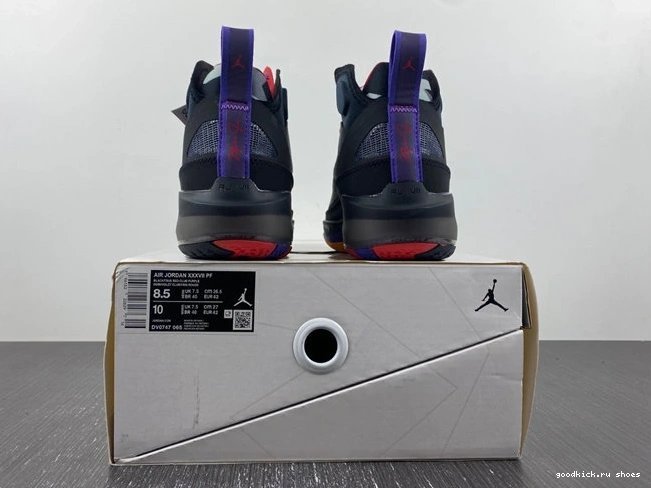 DV0747- Comfortable Jordan 37 4193 Raptors 1024